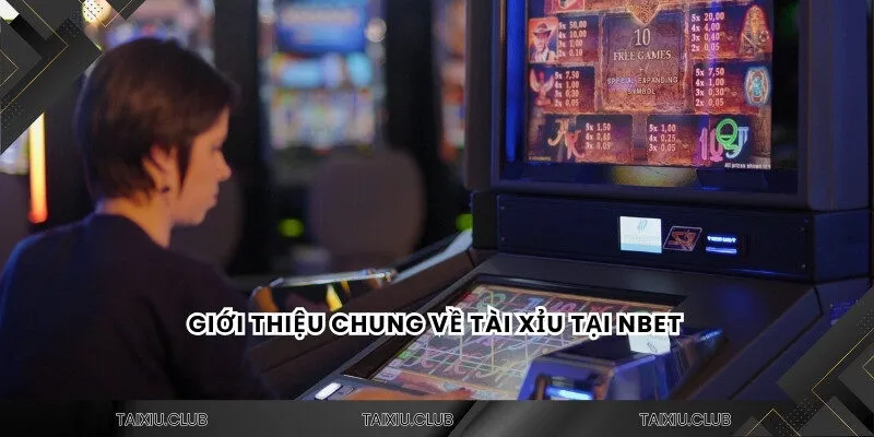 Giới thiệu chung về tài xỉu Nbet 