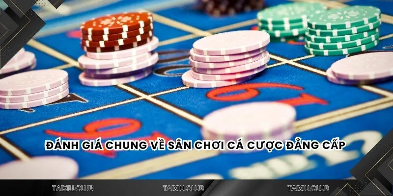 Đánh giá chung về sân chơi cá cược đẳng cấp