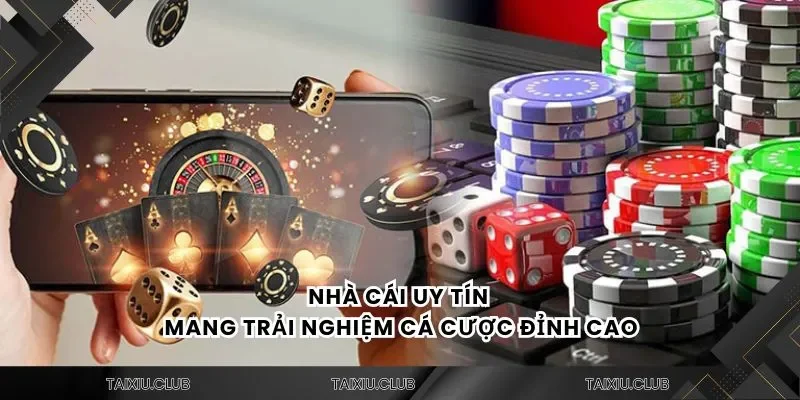 Nhà cái uy tín mang trải nghiệm cá cược đỉnh cao