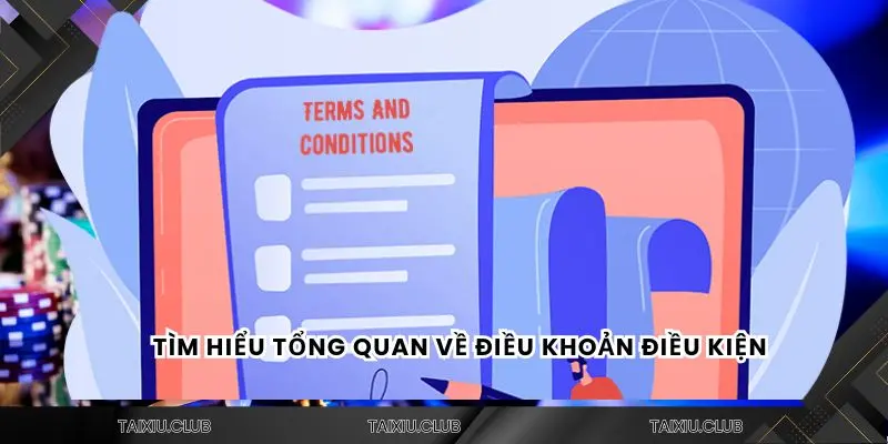 Tìm hiểu tổng quan về điều khoản điều kiện